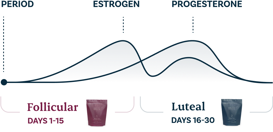 Graph showing follicular and luteal phases of menstrual cycle.