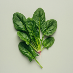 Fresh, loose leaf spinach is rich in vitamins and minerals