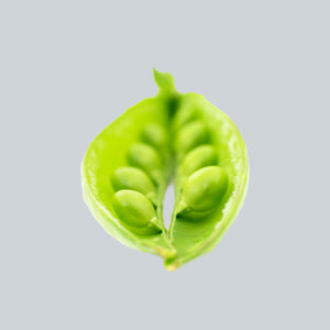 Green peas are an excellent source of thiamin. Thiamin is an ingredient in DailyBasis nutritional supplement power and helps convert carbohydrates into energy.